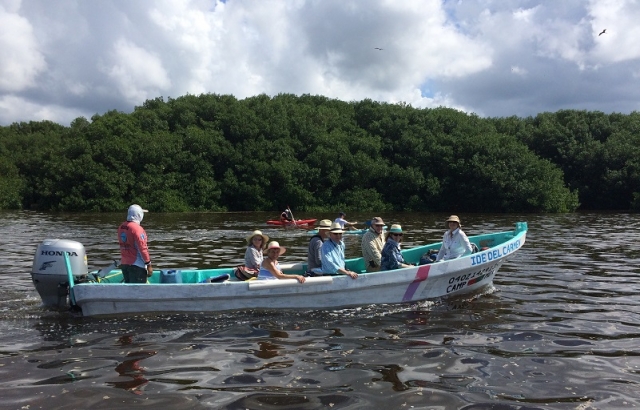 kayaks y barco en los manglaternera